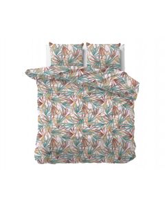 Aster - Multi - 240 x 220